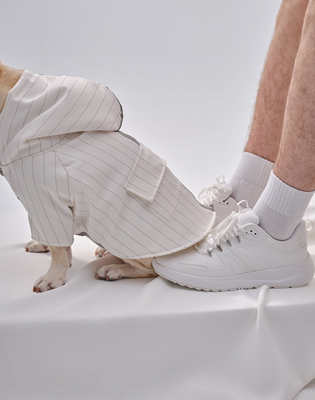 PEHOM PET REFLECTIVE X HOODIE