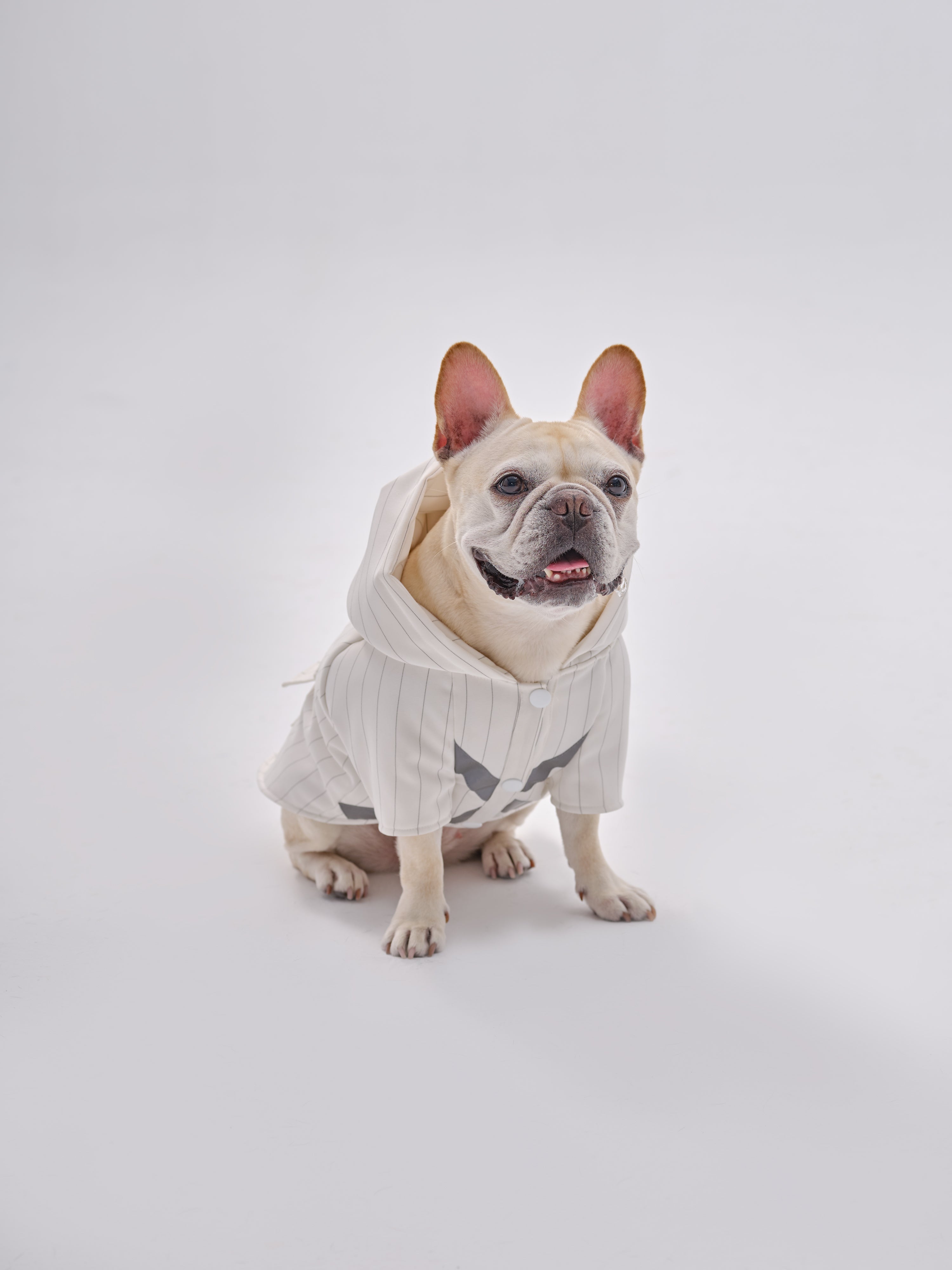 PEHOM PET REFLECTIVE X HOODIE