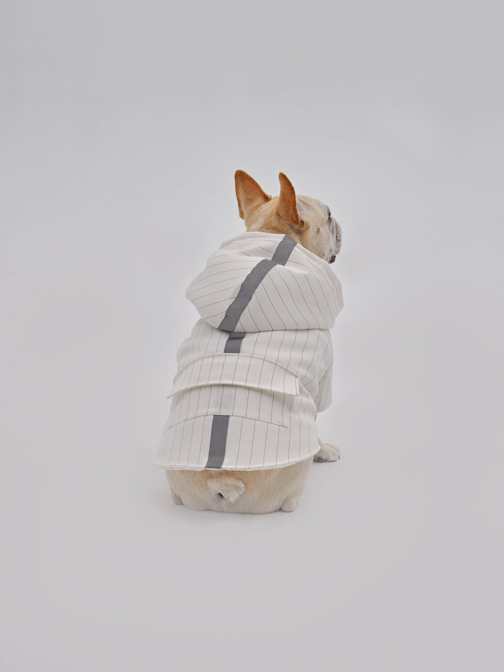 PEHOM PET REFLECTIVE X HOODIE