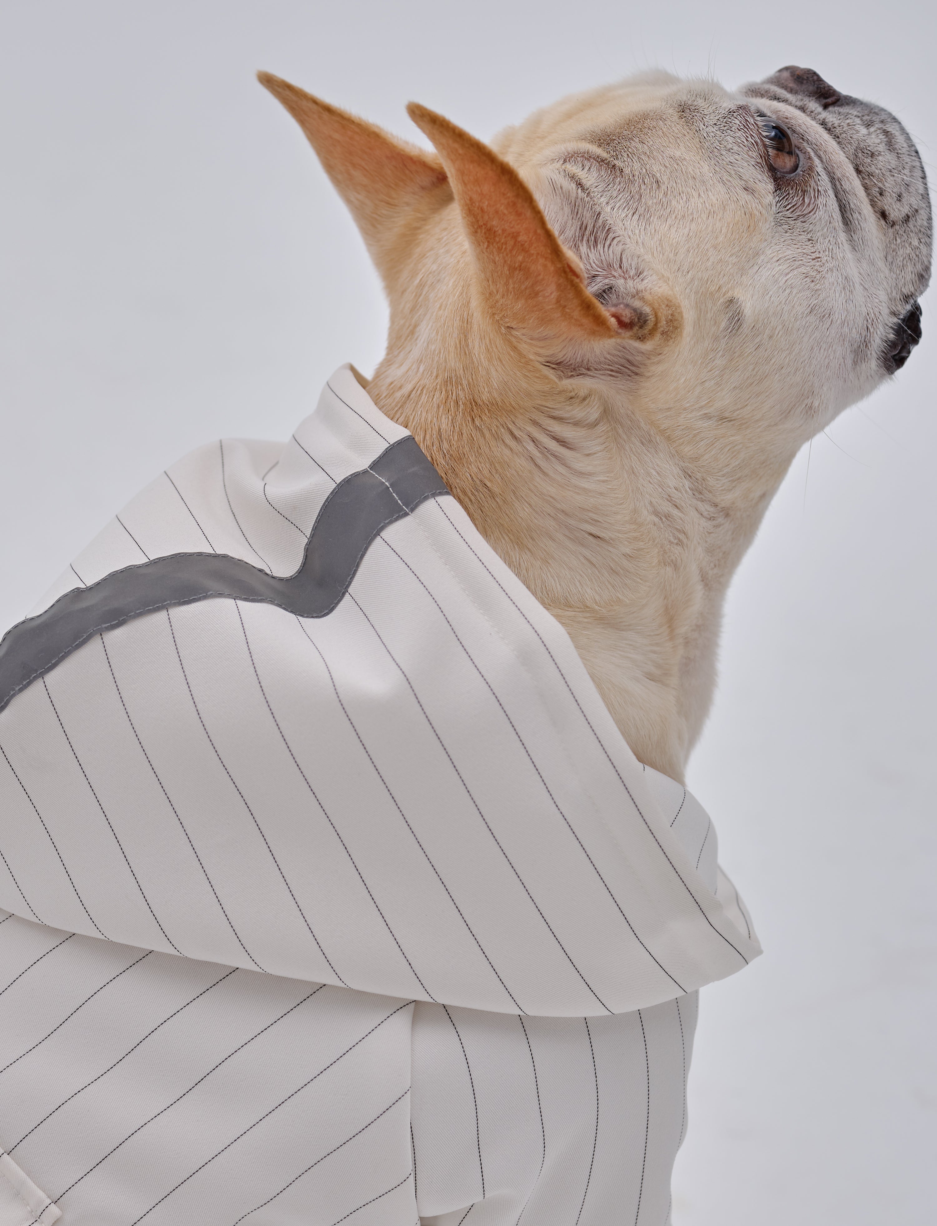 PEHOM PET REFLECTIVE X HOODIE