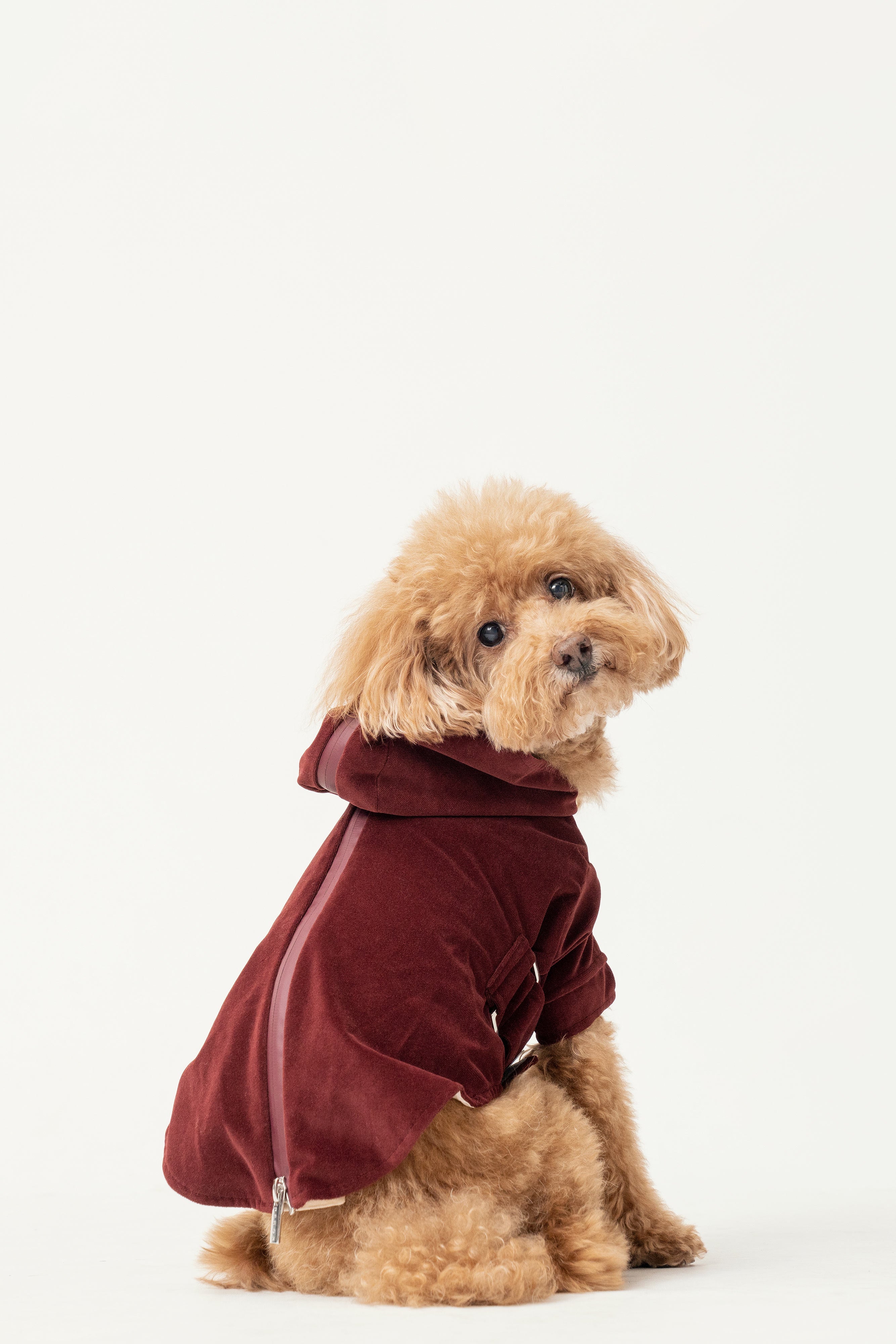 HUSTON HOODIE - DARK BURGUNDY